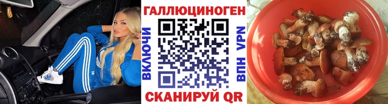 закладка Духовщина Псилоцибиновые грибы ЛСД